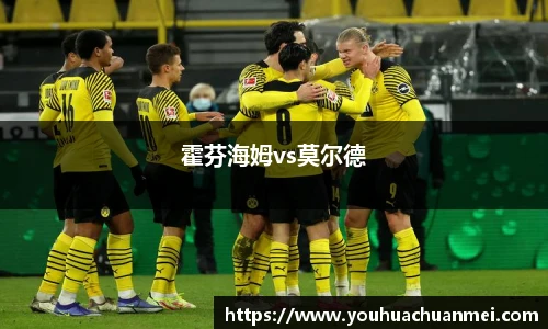 霍芬海姆vs莫尔德